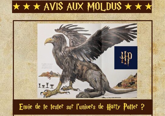 Affiche semaine HP.jpg